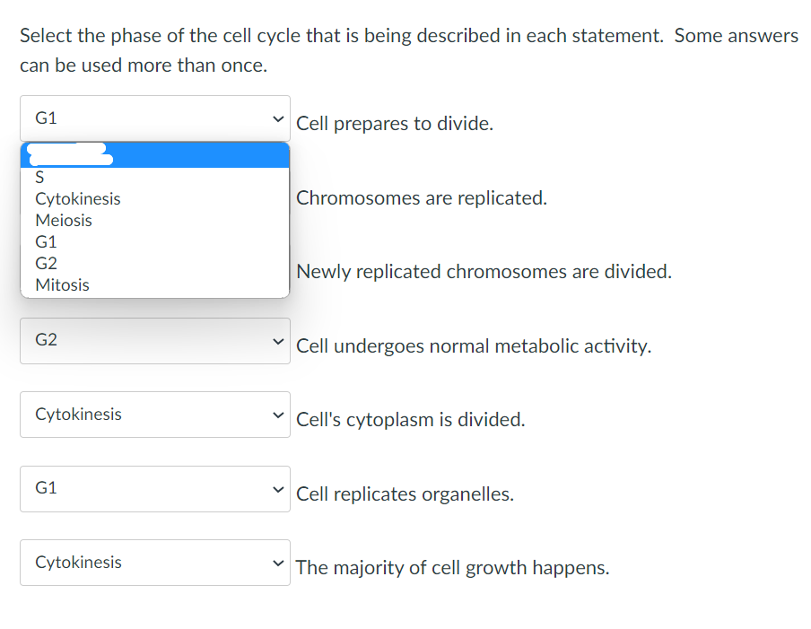 Solved Select the phase of the cell cycle that is being | Chegg.com