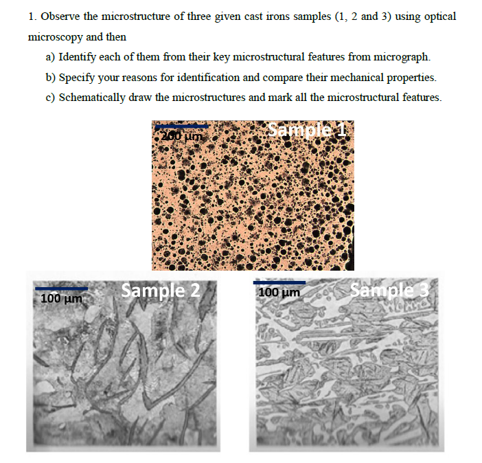 Solved 1. Observe the microstructure of three given cast | Chegg.com