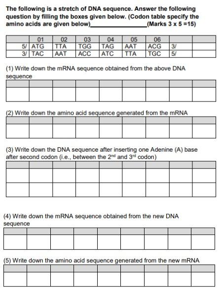 Solved Please fill up the tables. Follow the Codon table. | Chegg.com