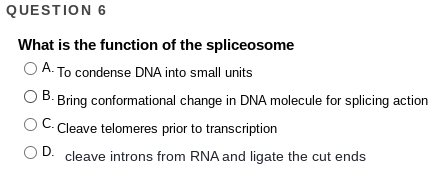 Solved QUESTION 6 What is the function of the spliceosome | Chegg.com