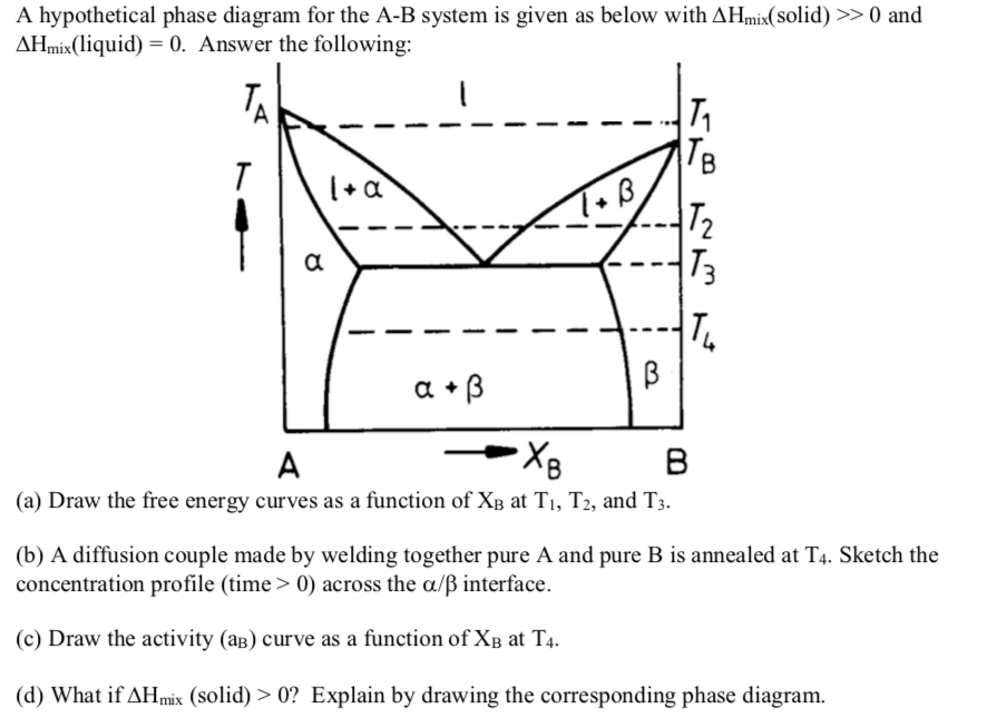 A hypothetical phase diagram for the A-B system is | Chegg.com