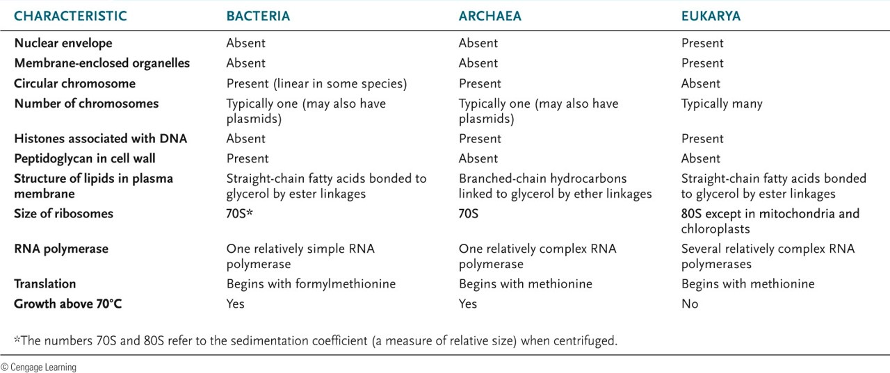 Membrane Size Chart