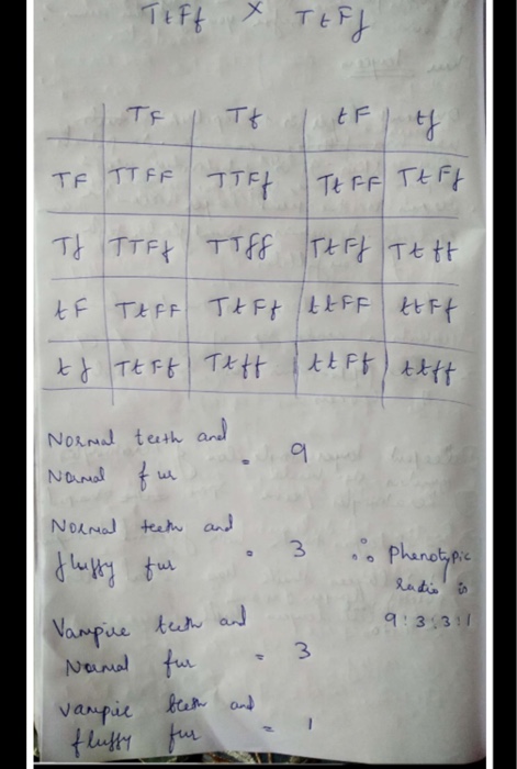 Solved 5. Using this Punnett square, answer the following | Chegg.com