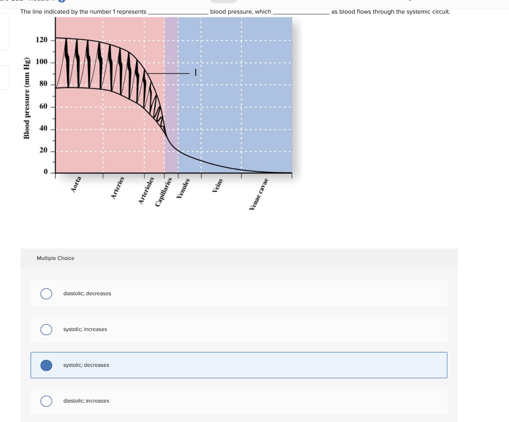 solved-the-line-indicated-by-the-number-1-represents-blood-chegg