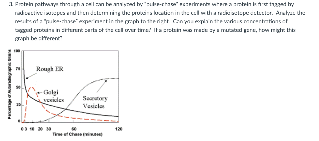 Solved 3 Protein Pathways Through A Cell Can Be Analyzed By Chegg Com