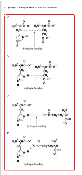 Solved B Hydrogen Bonding Between Thr And Ser Side Chain Chegg Com