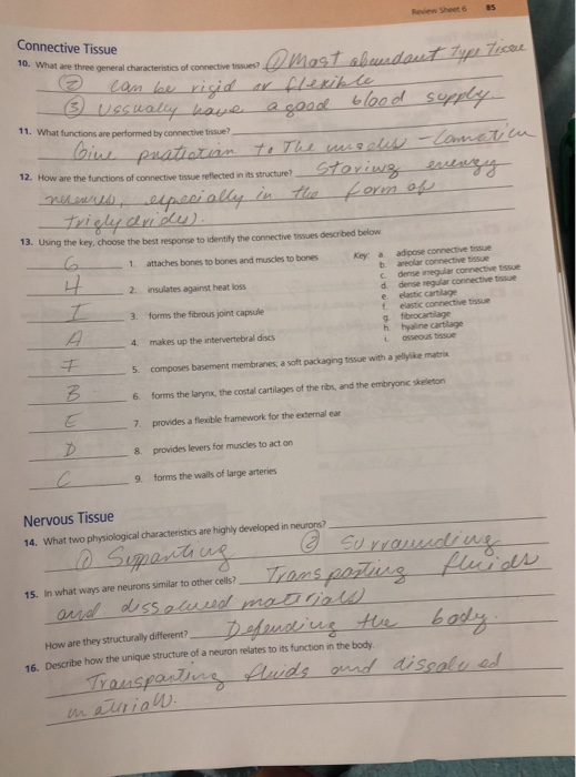 Solved 84 Review Sheet 6 S. For each function Isted, name | Chegg.com