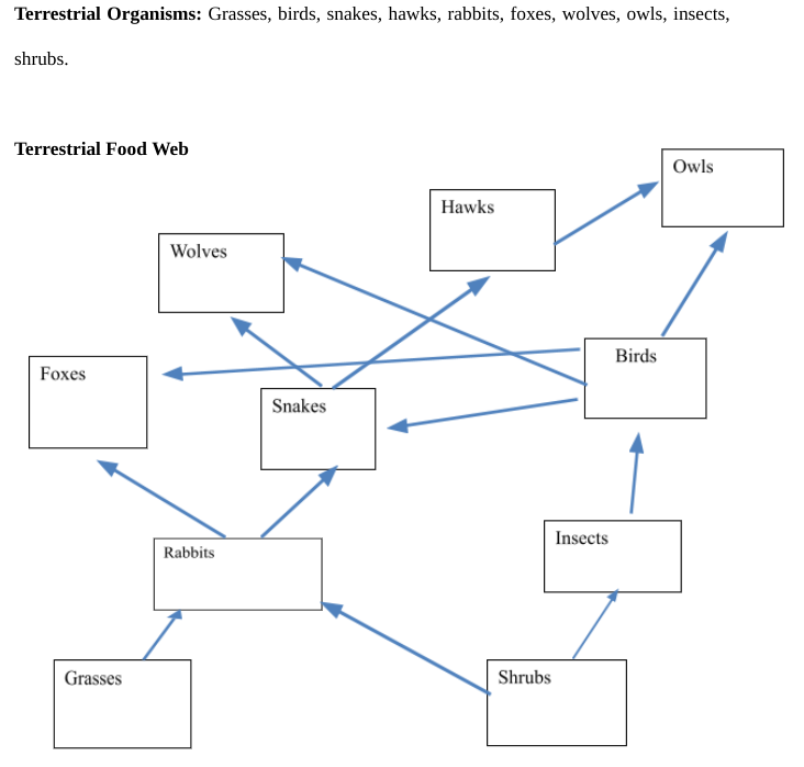 Solved Terrestrial Organisms: Grasses, birds, snakes, hawks, | Chegg.com