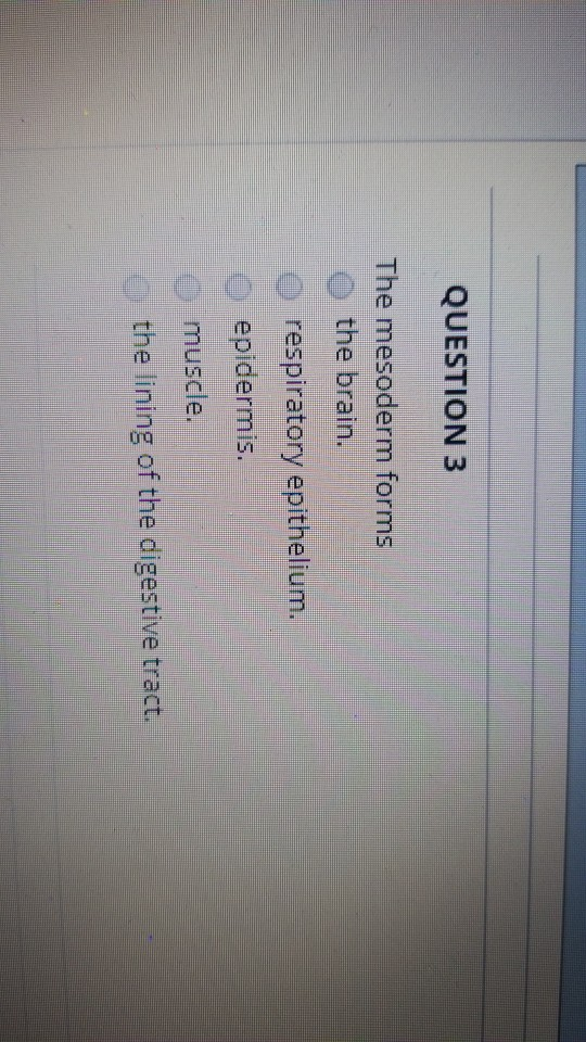 Solved QUESTION 3 The mesoderm forms the brain. respiratory | Chegg.com