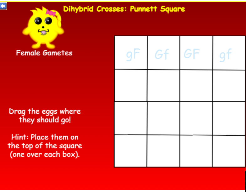 Dihybrid Crosses: Punnett Square Female Gametes gF Gf | Chegg.com