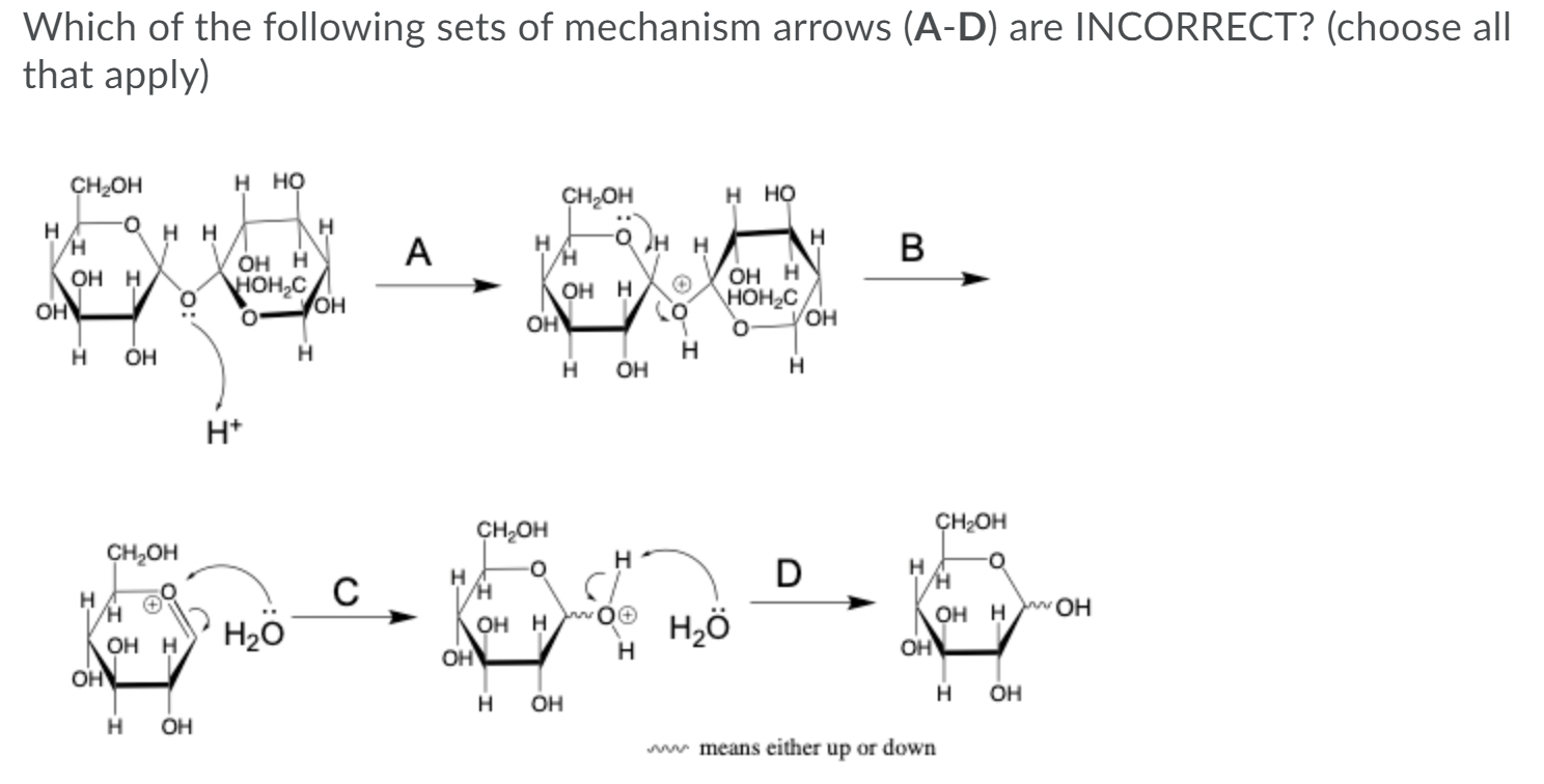 Which Of The Following Sets Of Mechanism Arrows A D Chegg Com