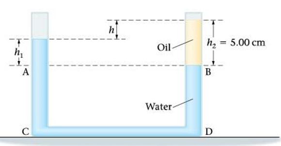 Solved A U-shaped tube is filled mostly with water, but a | Chegg.com