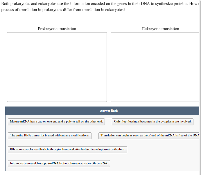 Solved Both prokaryotes and eukaryotes use the information | Chegg.com