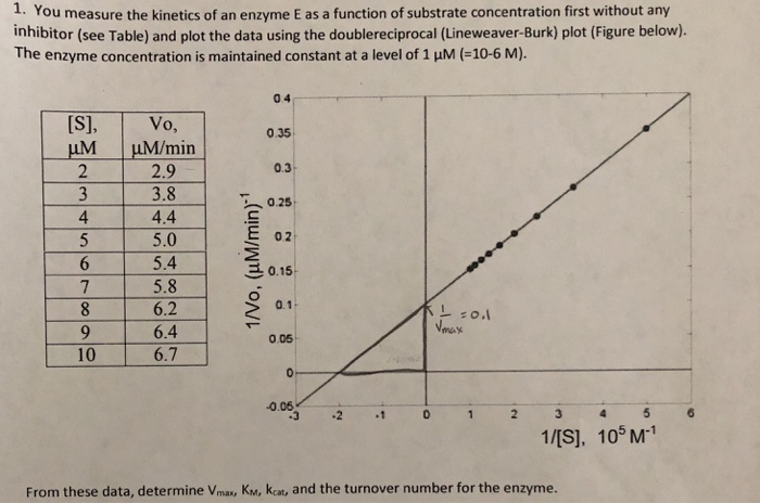 Solved . You measure the kinetics of an enzyme E as a | Chegg.com