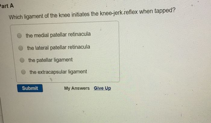 Solved Which ligament of the knee initiates the knee-jerk | Chegg.com