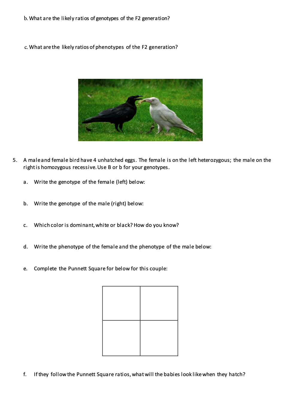 Solved V. Punnett Squares Х 1. Use a Punnett square to show | Chegg.com