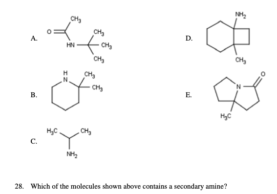 Solved A.D.BE.Which of the molecules shown above contains a | Chegg.com