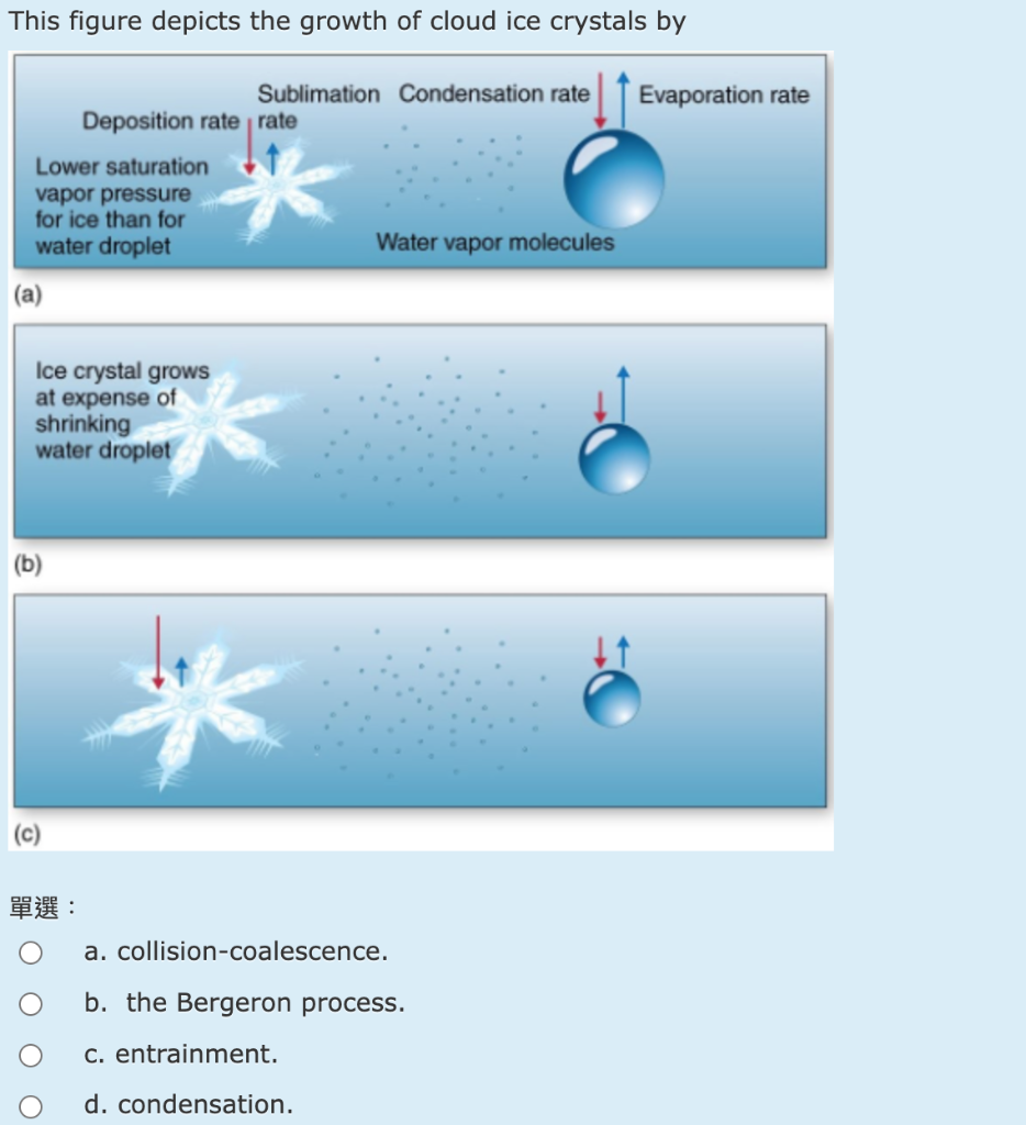 Solved This figure depicts the growth of cloud droplets by