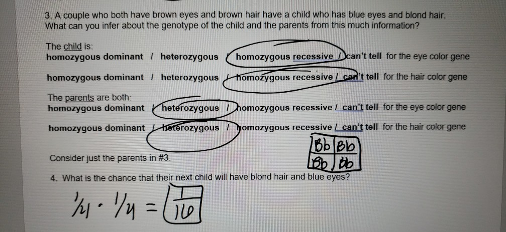 heterozygous eye color