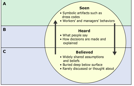 culture organizational makes identify levels corporate diagram following solved different