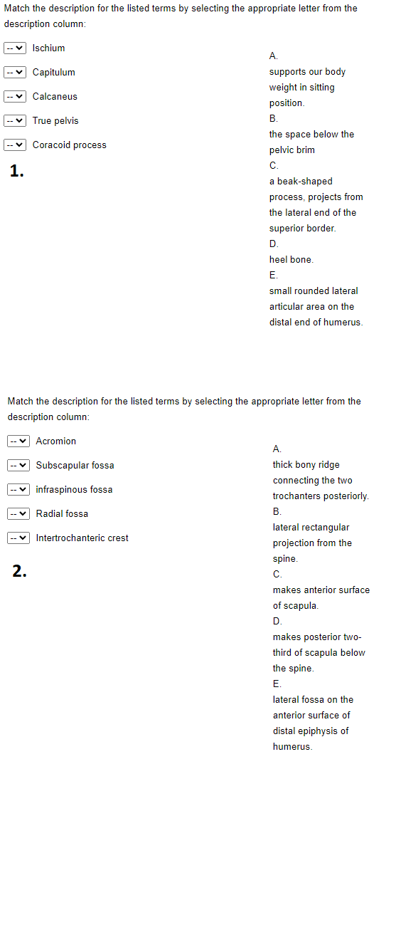 Solved Match the description for the listed terms by | Chegg.com