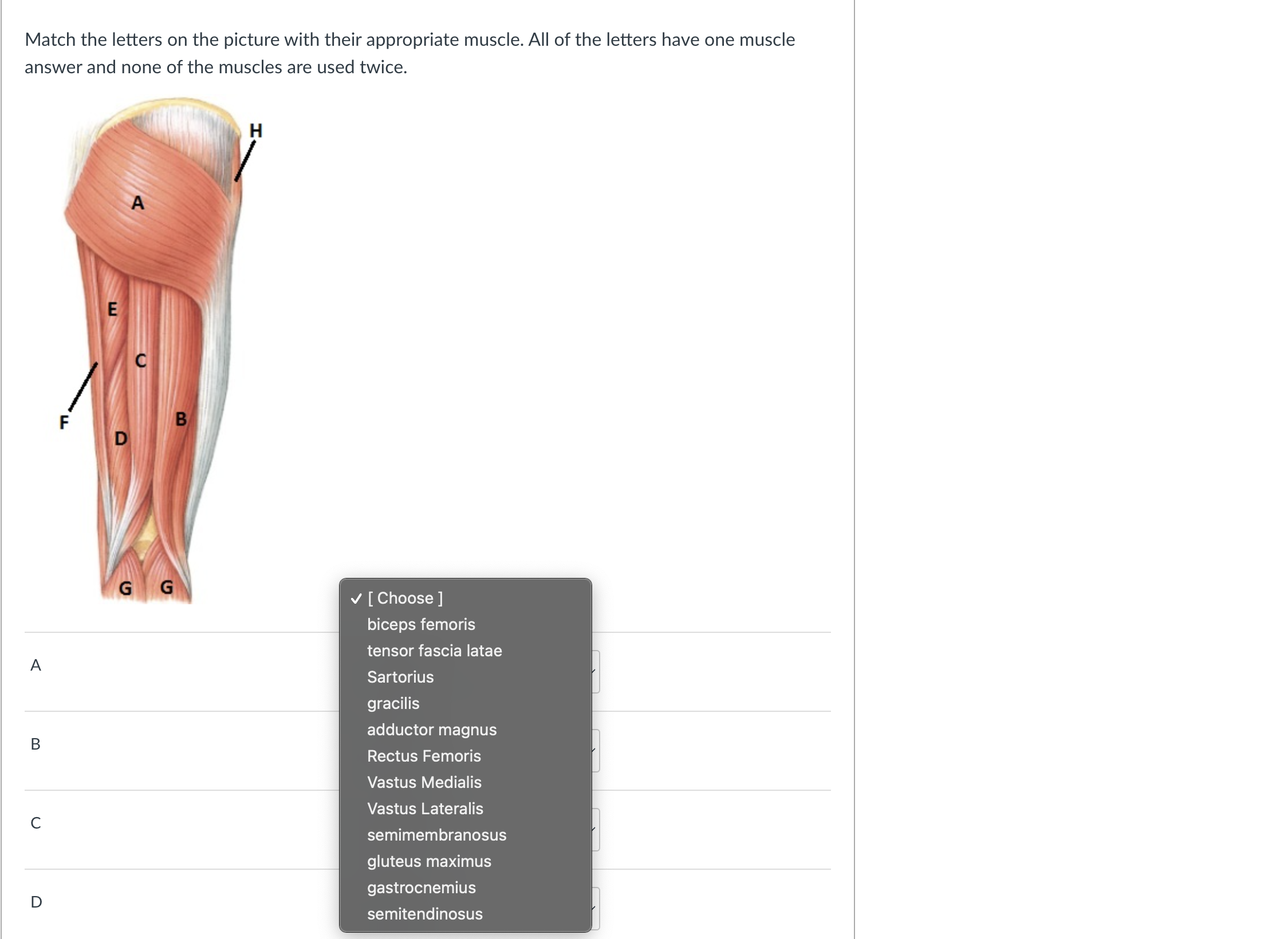 Solved Match the letters on the picture with their | Chegg.com
