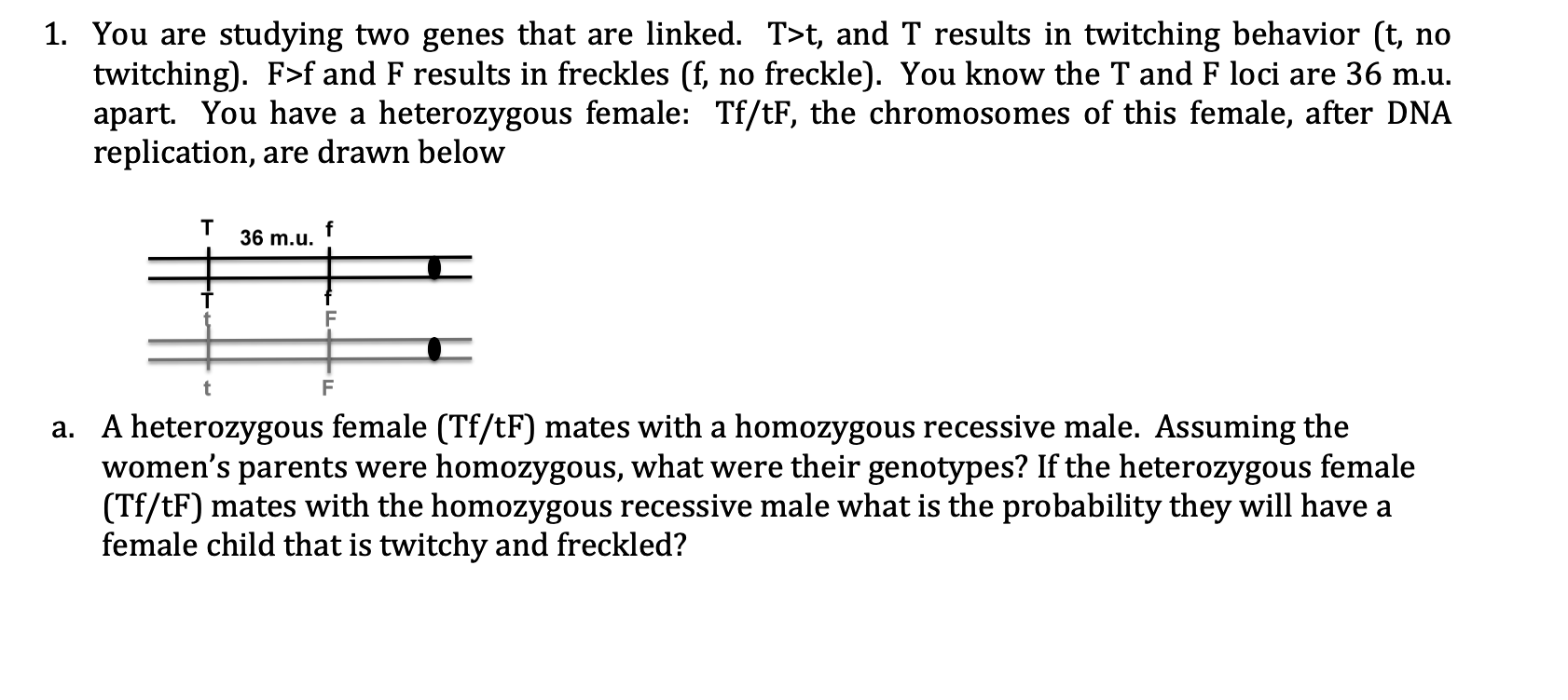 Solved You are studying two genes that are linked. T>t, and | Chegg.com