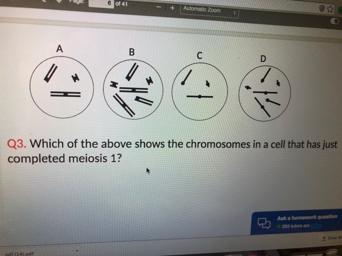 Solved Please help me all the questions below and dont do | Chegg.com