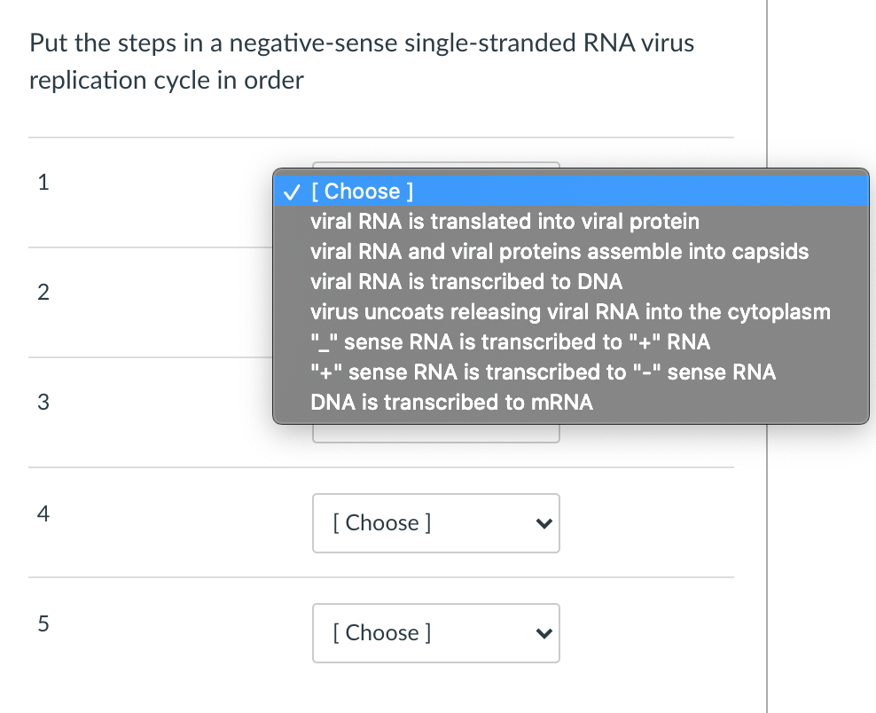 solved-put-the-steps-in-a-negative-sense-single-stranded-rna-chegg