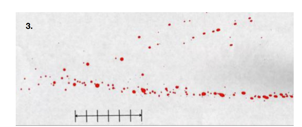 Blood Spatter Part I: At the crime scene, what test | Chegg.com