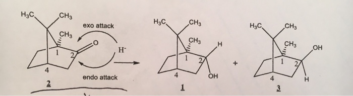 Solved H3C CH3 H3C CH3 H3C CH3 exo attack CH3 CH3 H CH3 OH | Chegg.com