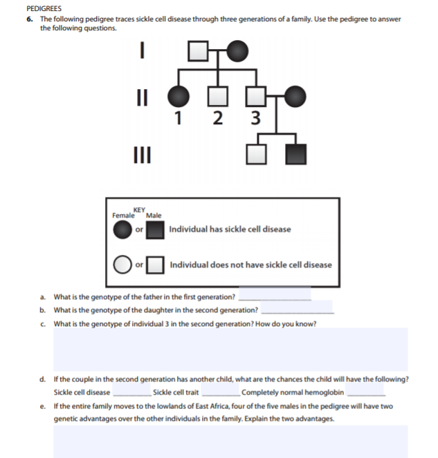 Solved PEDIGREES 6. The following pedigree traces sickle | Chegg.com