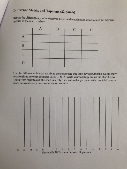 a c t and g
