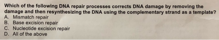 Solved Which Of The Following DNA Repair Processes Corrects | Chegg.com