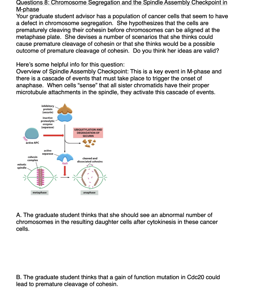 Solved Questions 8 Chromosome Segregation and the Spindle