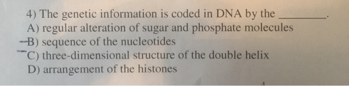 solved-the-genetic-information-is-coded-in-dna-by-the-chegg