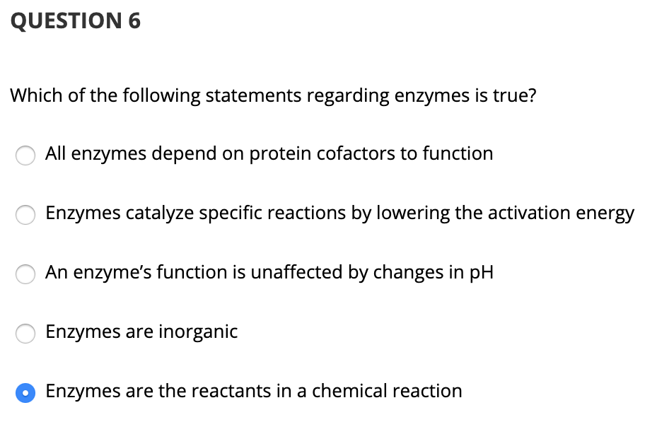Which Of The Following Statements About Enzyme Function Is True Solved QUESTION 6 Which of the following statements | Chegg.com