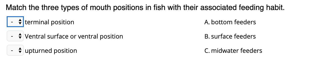 Solved Match The Three Types Of Mouth Positions In Fish W