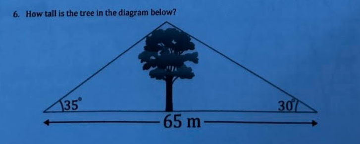 solved-6-how-tall-is-the-tree-in-the-diagram-below