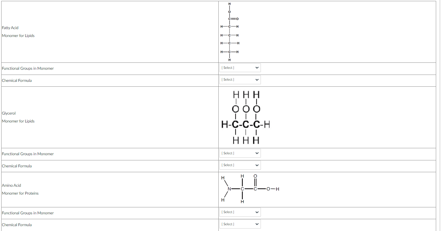 Fatty Acid
Monomer for Lipids
Functional Groups in Monomer
Chemical Formula
Glycerol
Monomer for Lipids
Amino Acid
Monomer fo