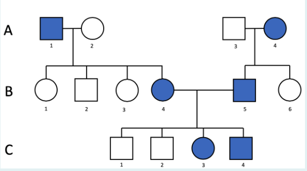 Solved a)What is the pattern of inheritance in the pedigree | Chegg.com