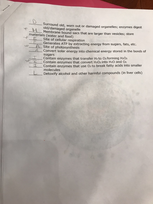 Solved Can someone help me with the rest I’m stuck? & can | Chegg.com