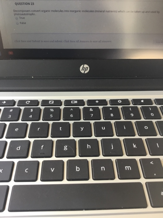 Solved QUESTION 23 Decomposers convert organic molecules | Chegg.com