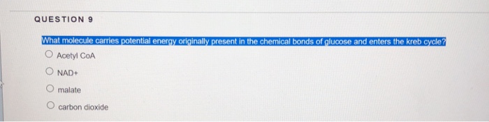 Solved QUESTION 9 hat molecule carries potential energy | Chegg.com