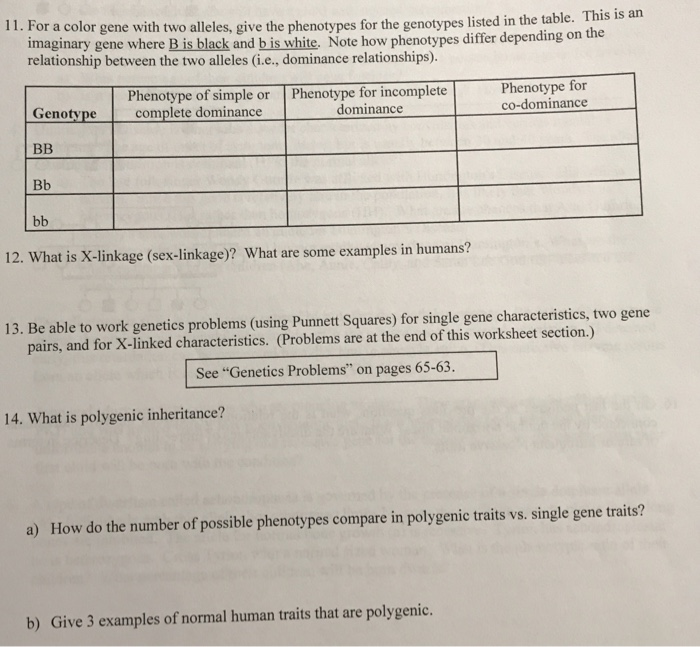 solved-11-for-a-color-gene-with-two-alleles-give-the-chegg