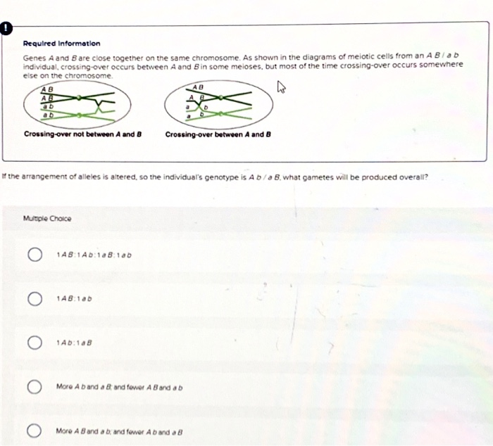 Solved 9 Required Information Genes A And B Are Close | Chegg.com