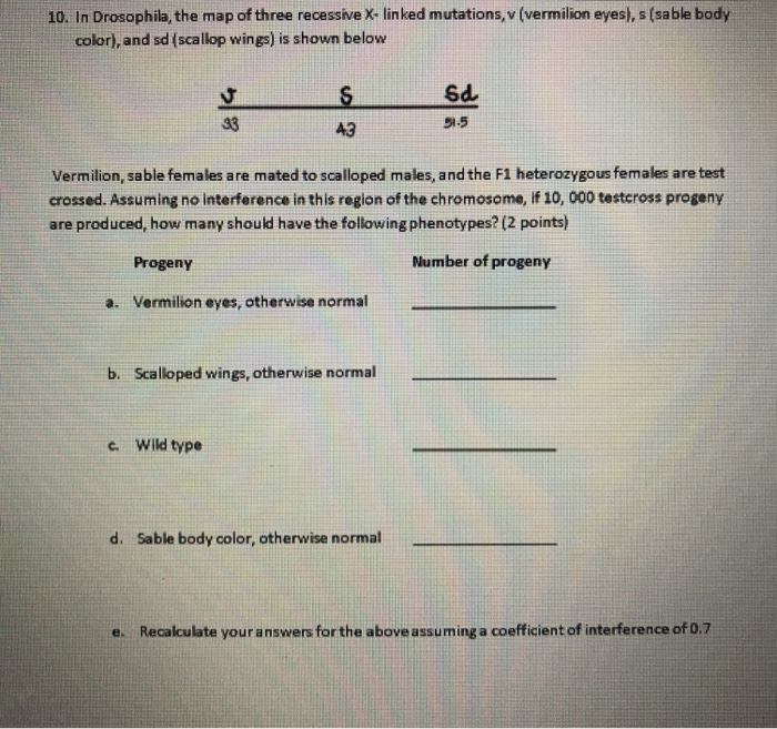 Solved 10 In Drosophila The Map Of Three Recessive Chegg Com   Image 