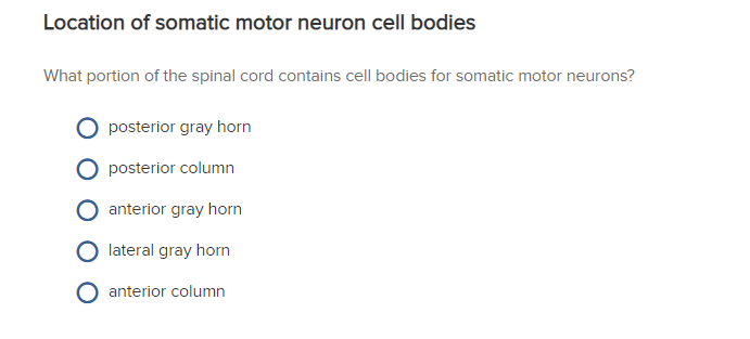 Solved Location of somatic motor neuron cell bodies What | Chegg.com