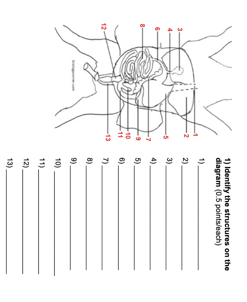 11) 12) 13) | Chegg.com