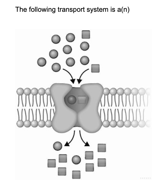 Solved The Following Transport System Is A(n) | Chegg.com